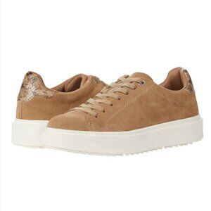 Steve Madden Charlie Suede Sneakers
